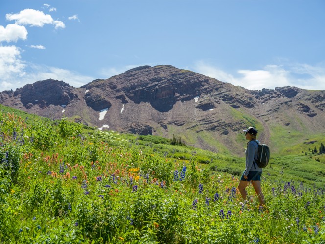 A hiker walking through a flowery field in Colorado.